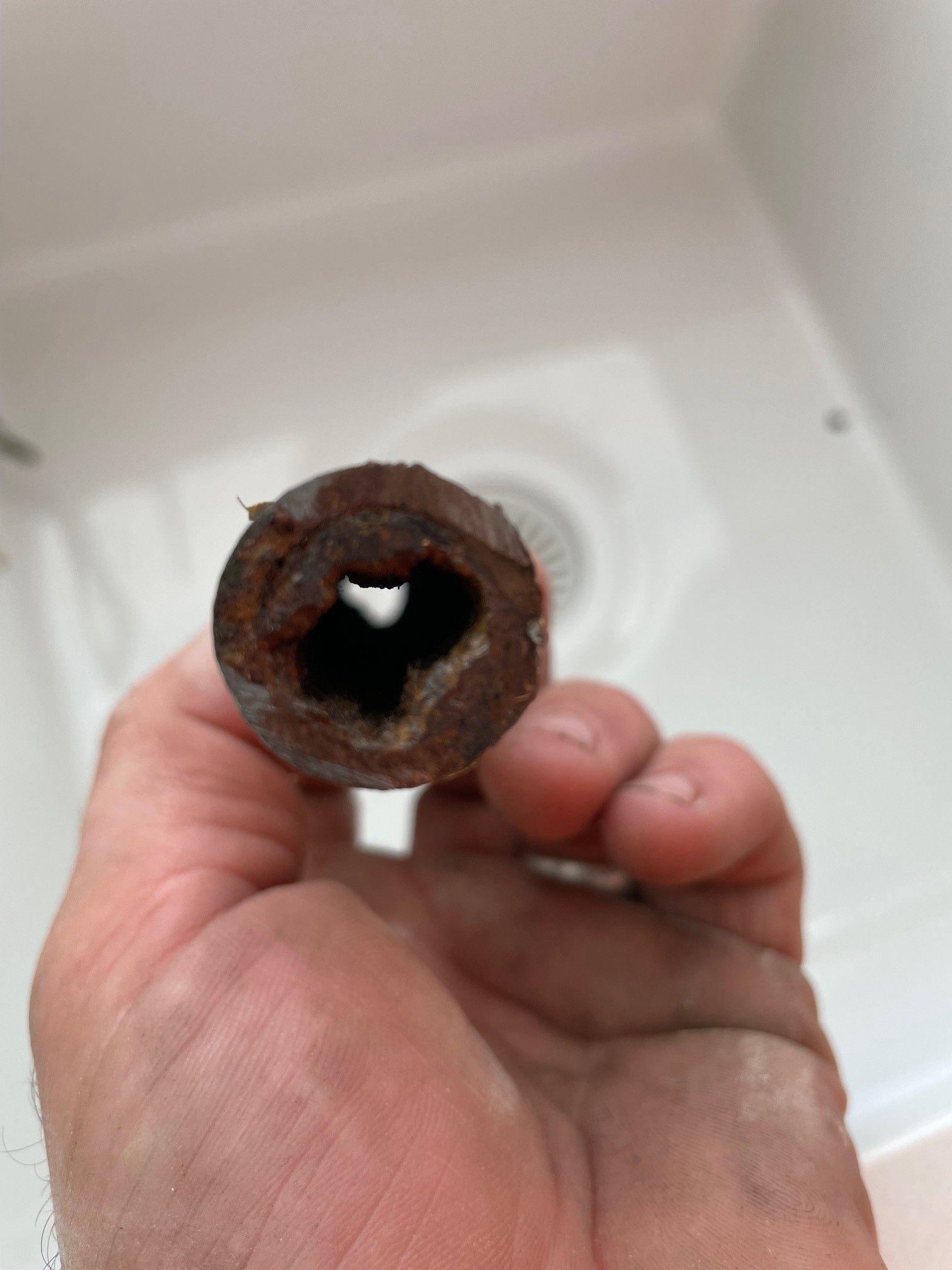 low water pressure brisbane