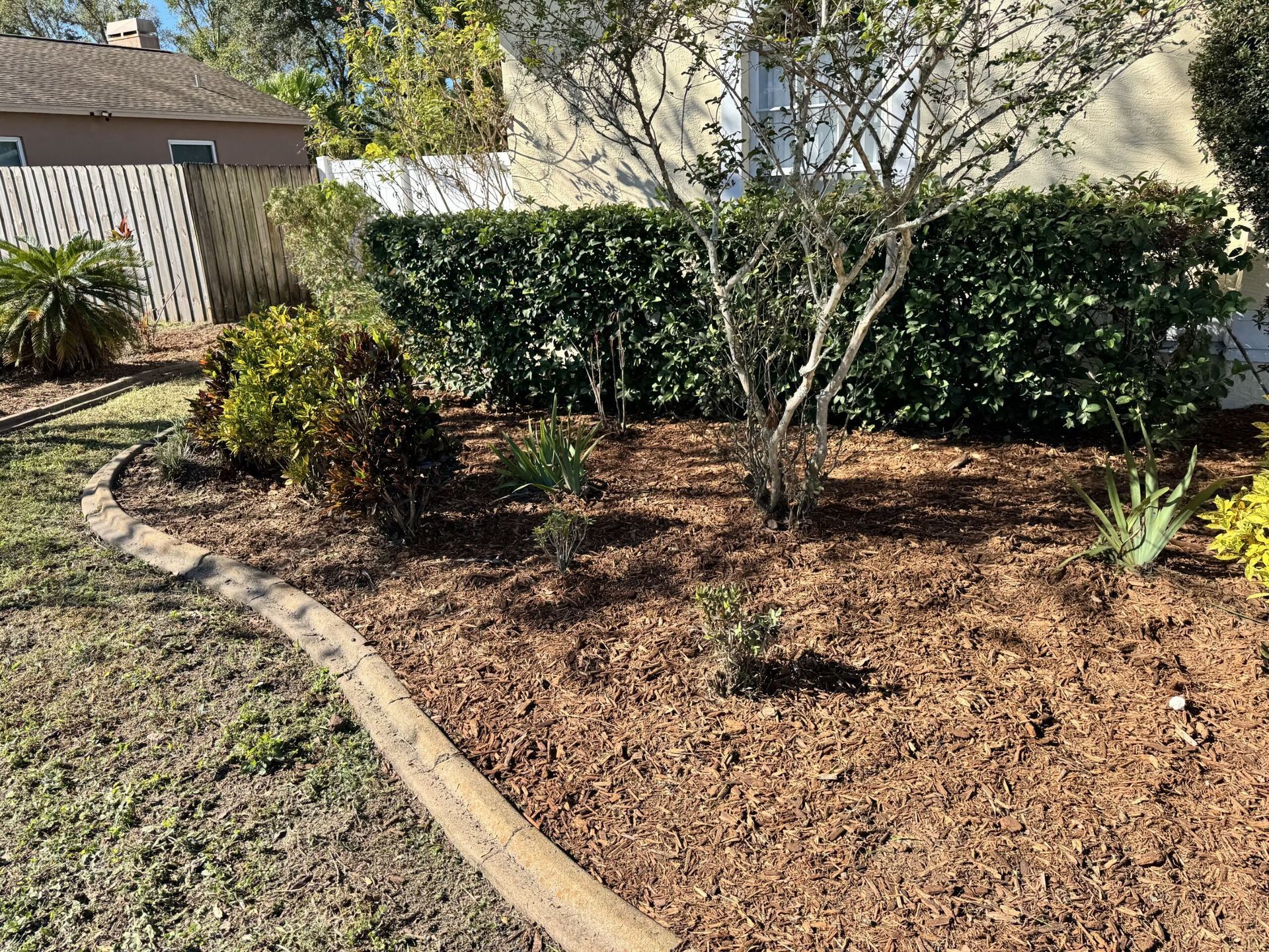A garden with a lot of mulch and trees in front of a house.