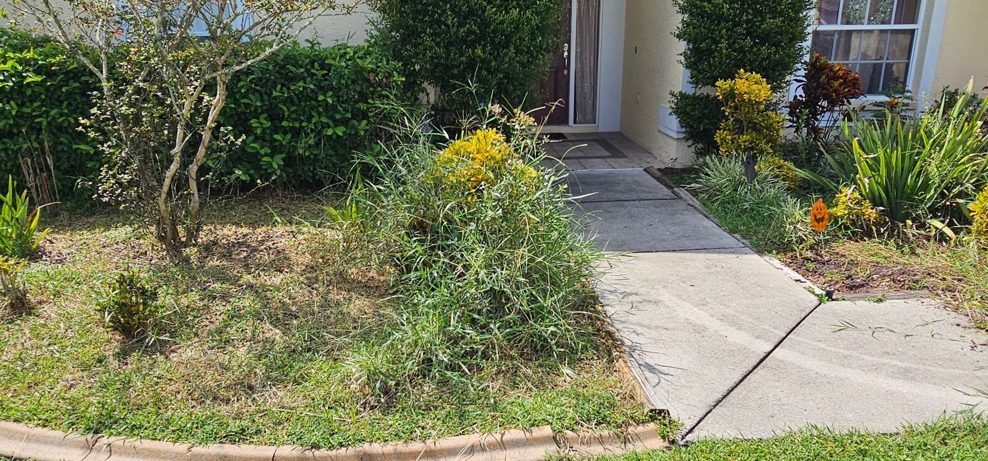 There is a concrete walkway leading to the front door of a house.