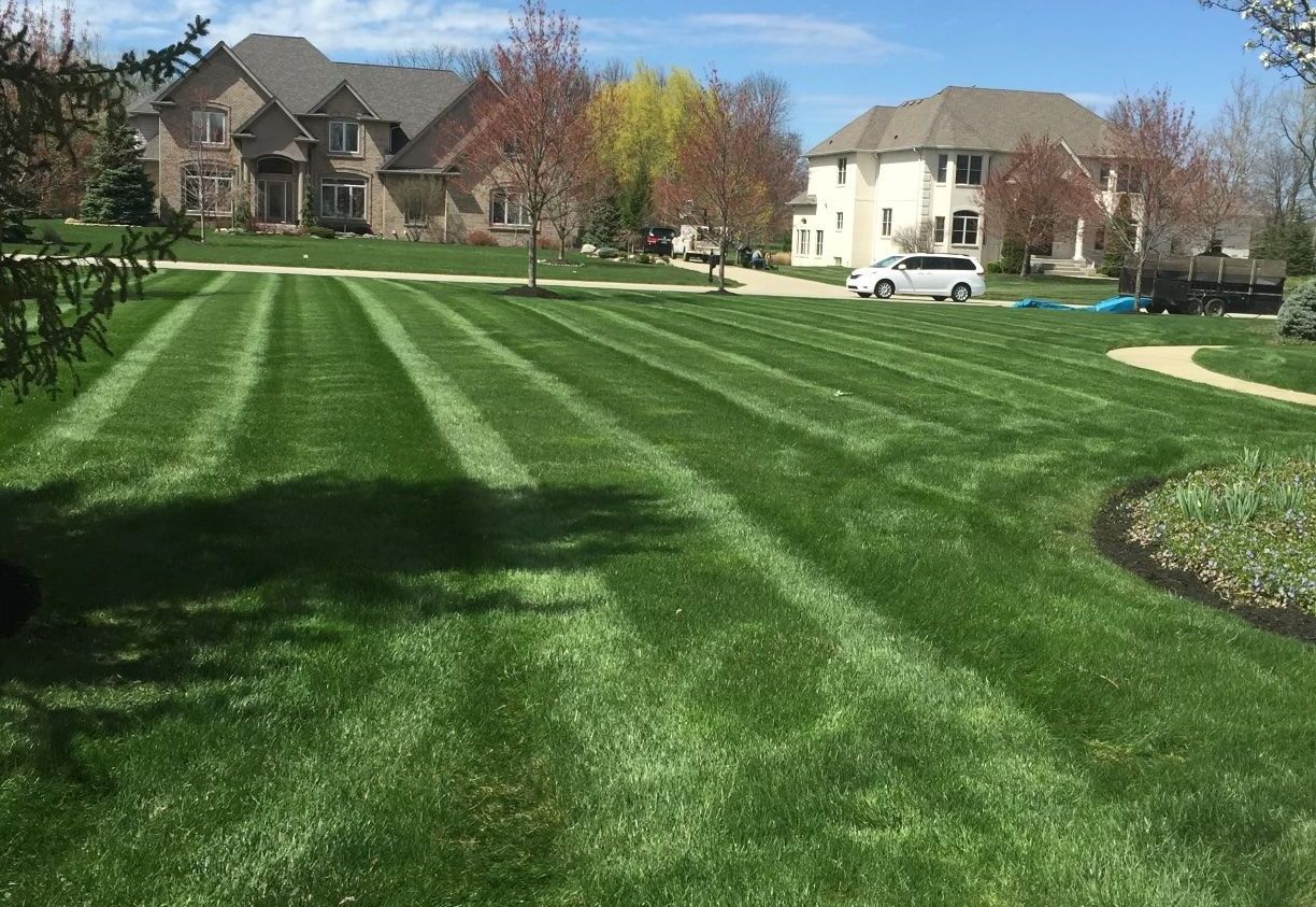 A lush green lawn in a residential neighborhood with houses in the background.