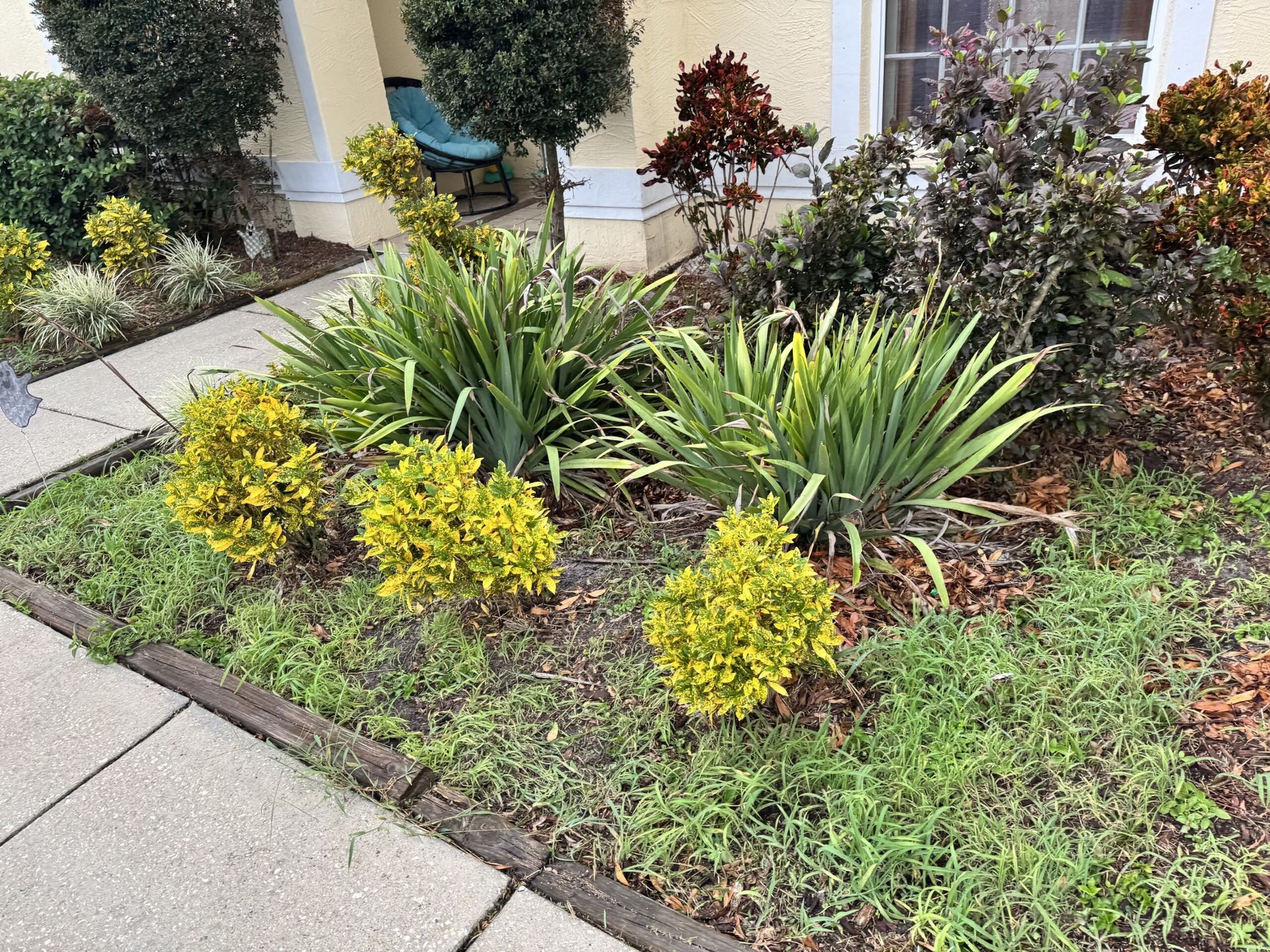 A garden with lots of plants and shrubs in front of a house.