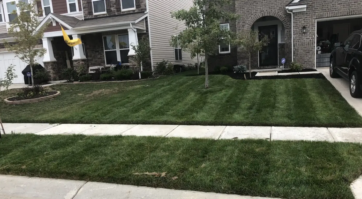 Landscape Maintenance