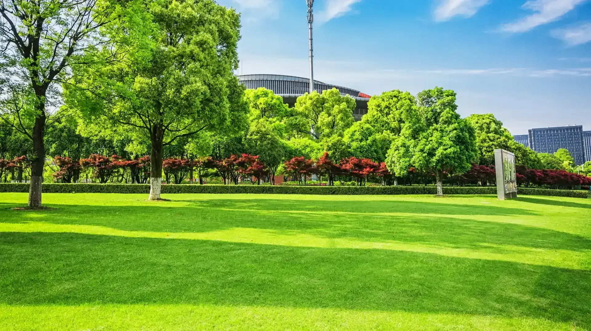 Commercial Lawn Mowing