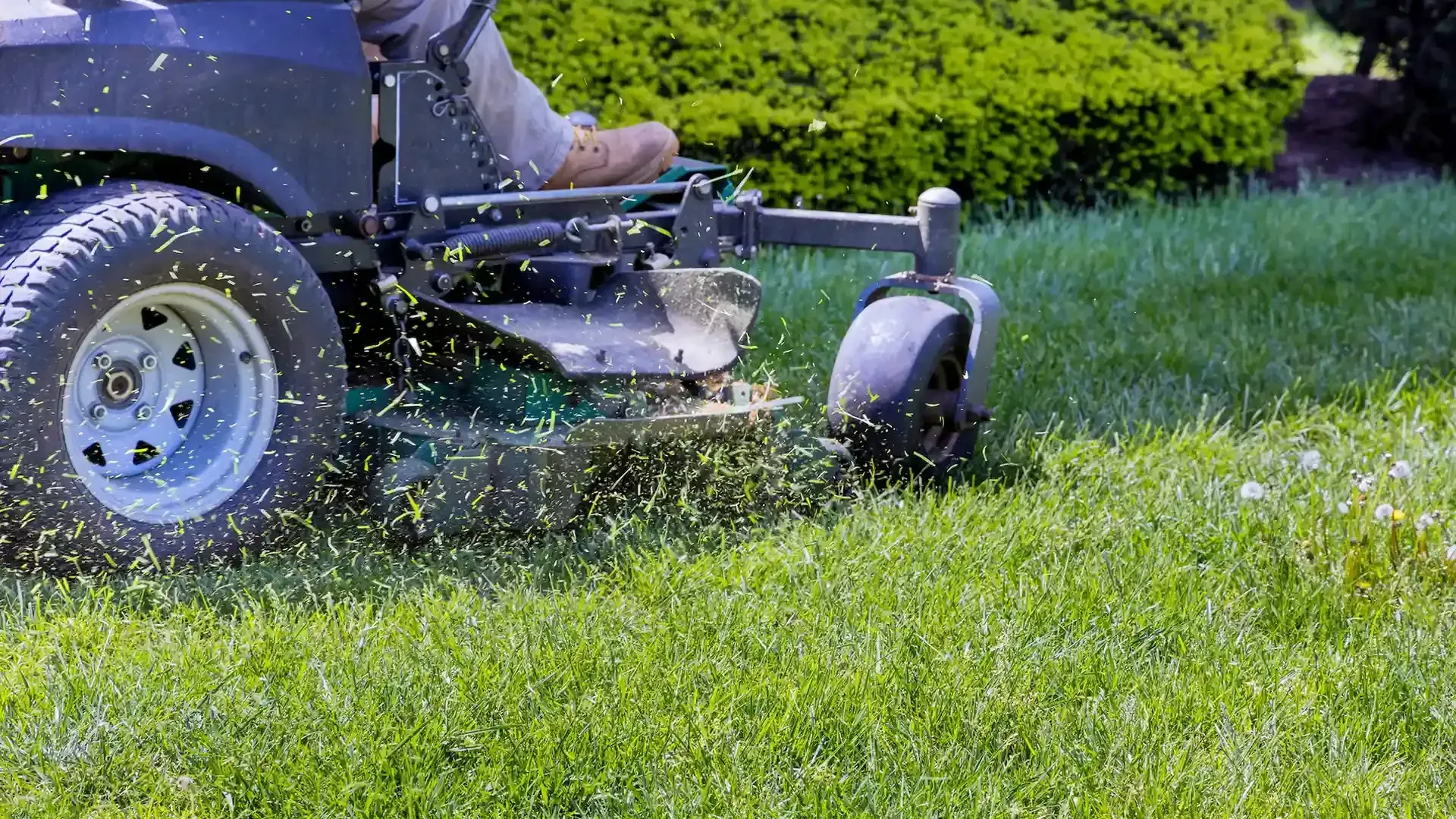 A man is riding a lawn mower on a lush green lawn.