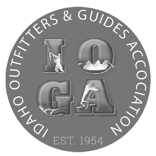 IOGA