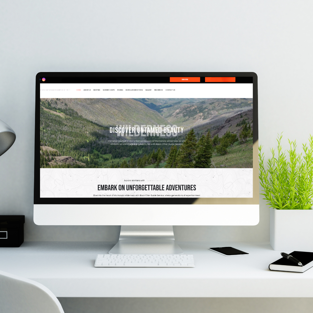 Website Design