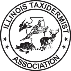 IOGA