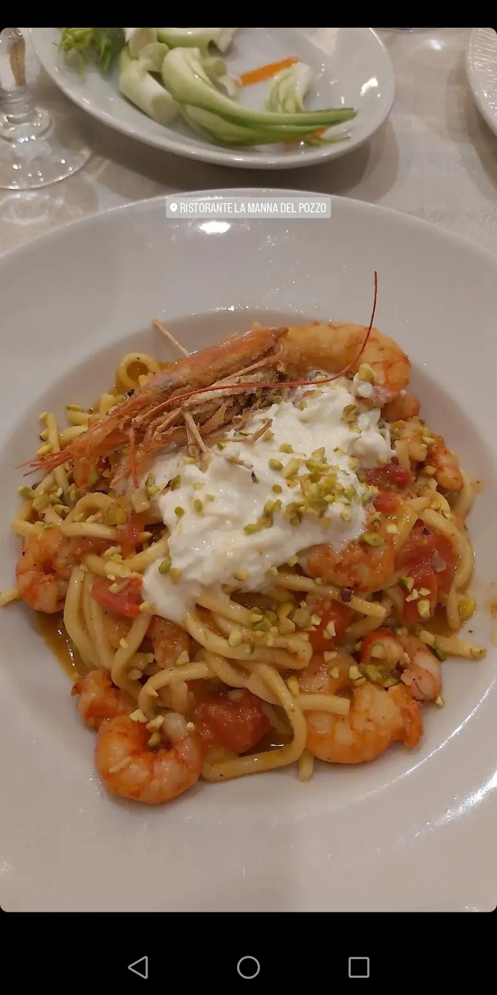 piatto