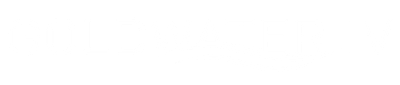 Thin horizontal black line near the bottom of a mostly white image