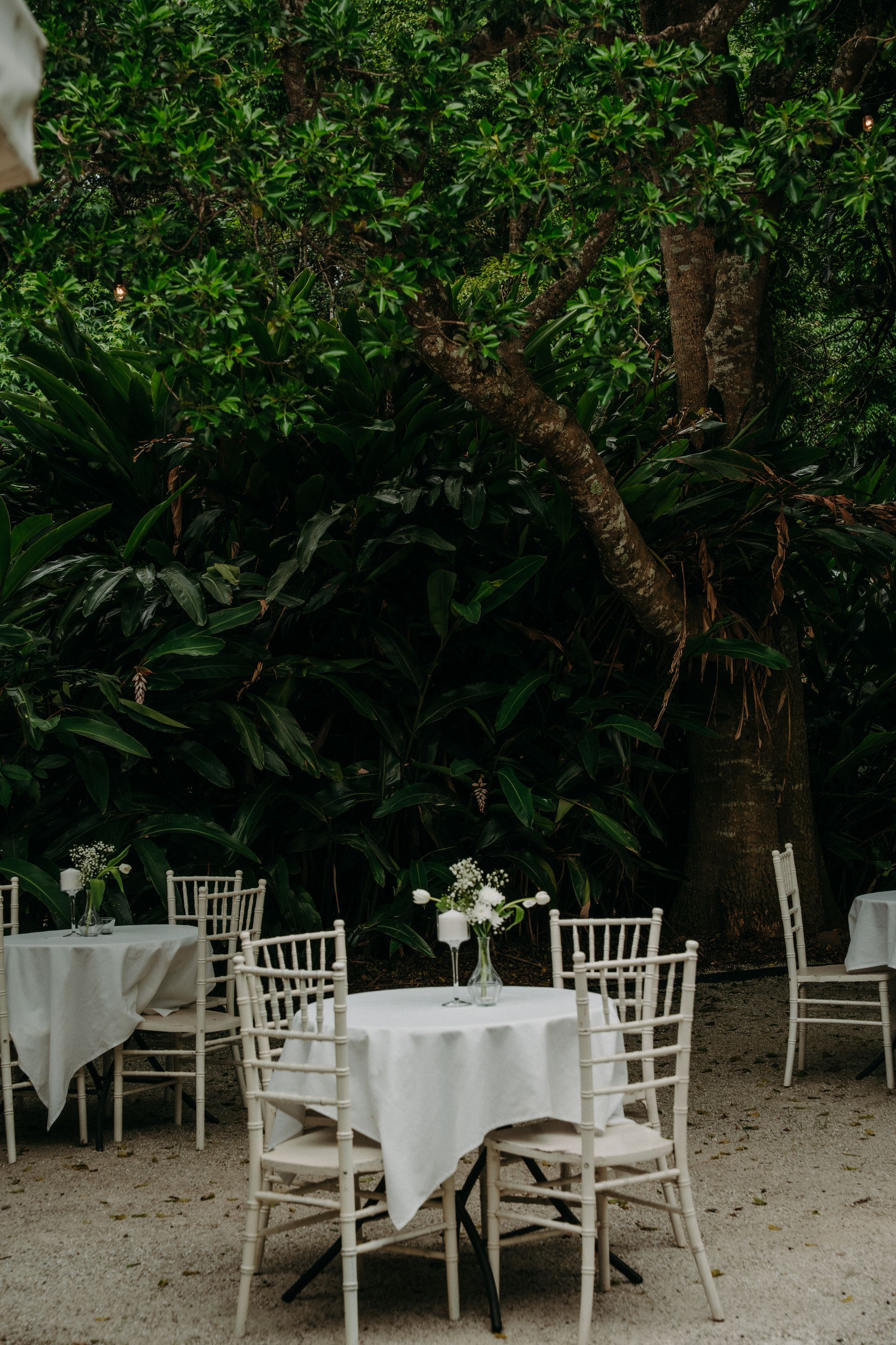 Nature's Embrace Wedding and Venue Hire 