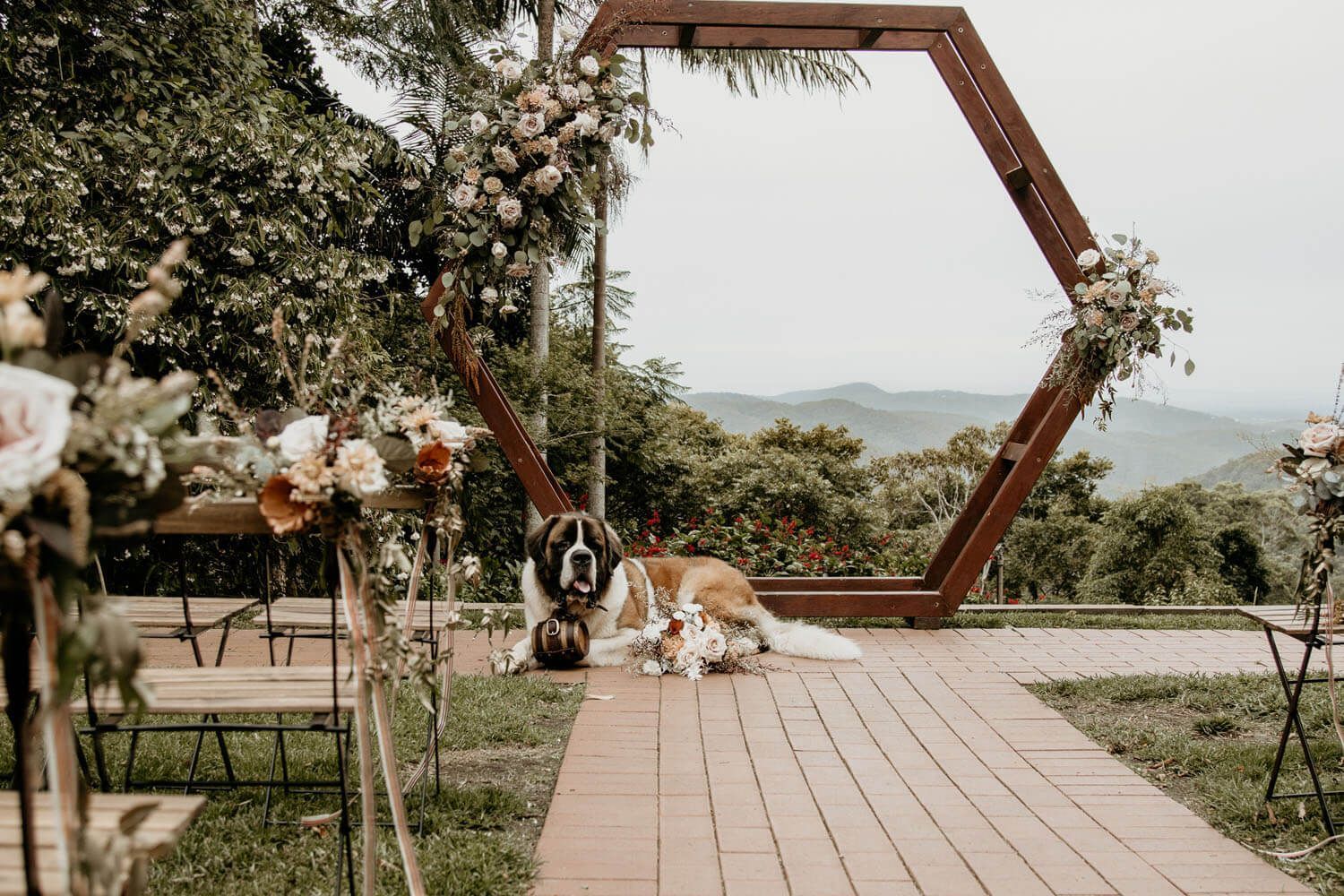 A Saint Bernard dog sits on a brick patio in front of a wooden hexagonal arch decorated with flowers, overlooking hills.