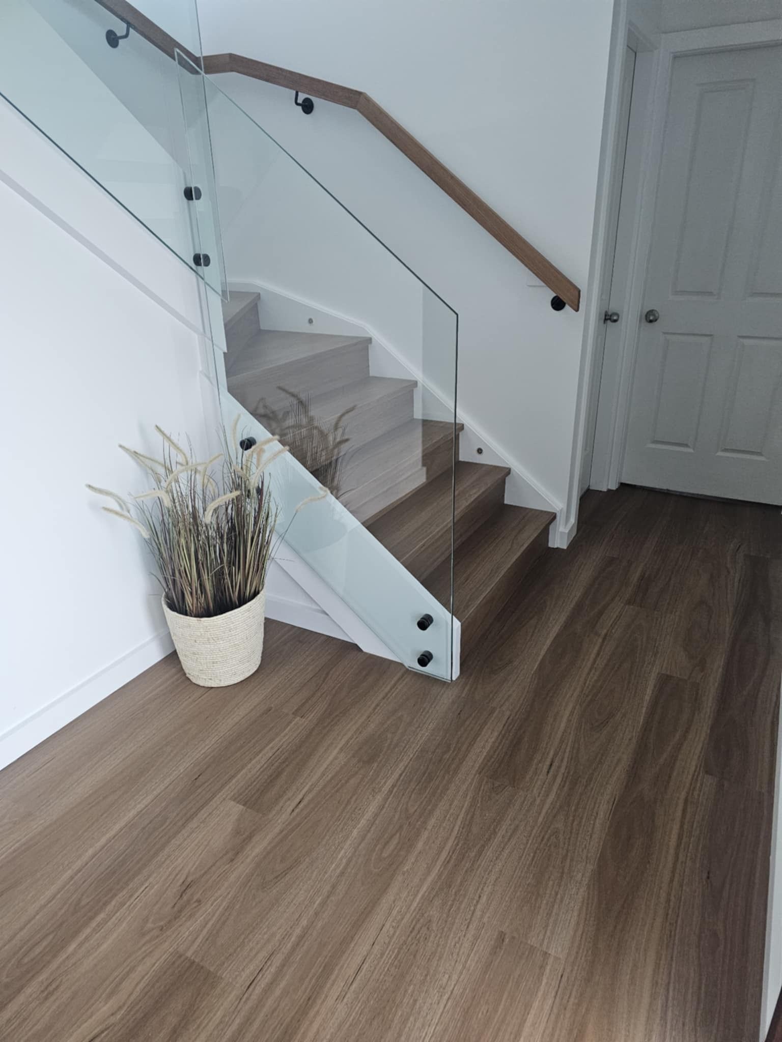 A staircase with a glass railing and a potted plant on the floor.