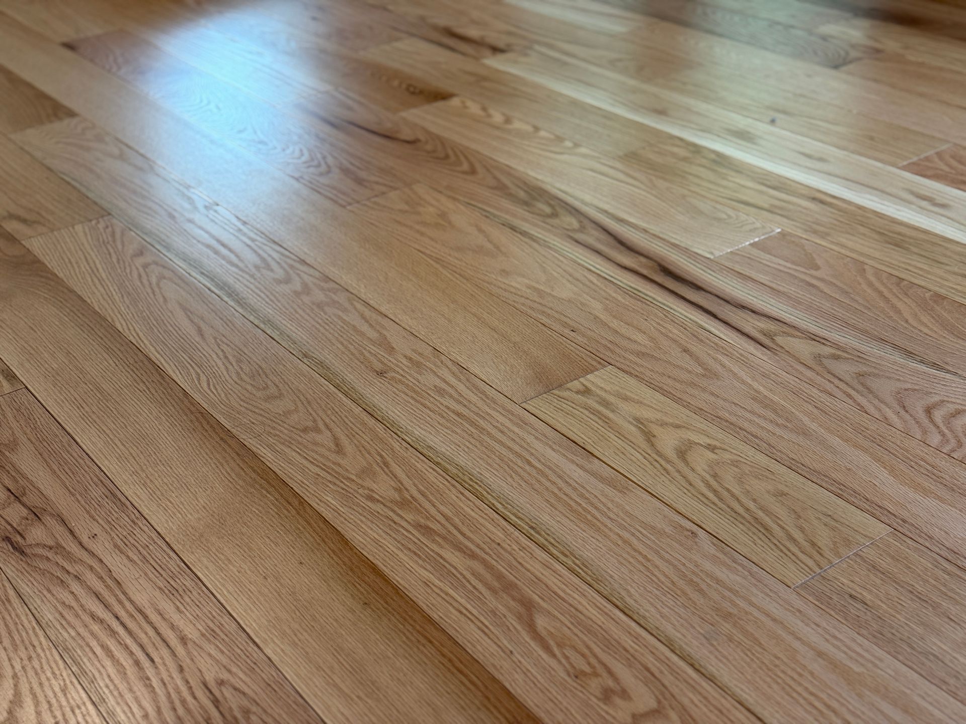 Close-up of staggered wooden planks showcasing the texture of a floating floor design.