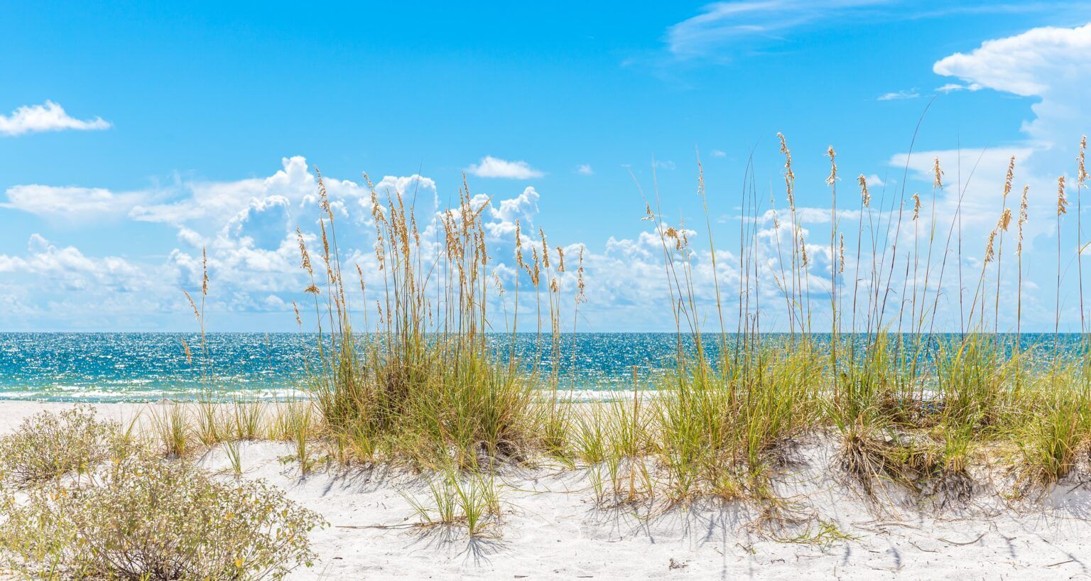 Sunny beach with white sand, turquoise water, and tall grasses under a blue sky