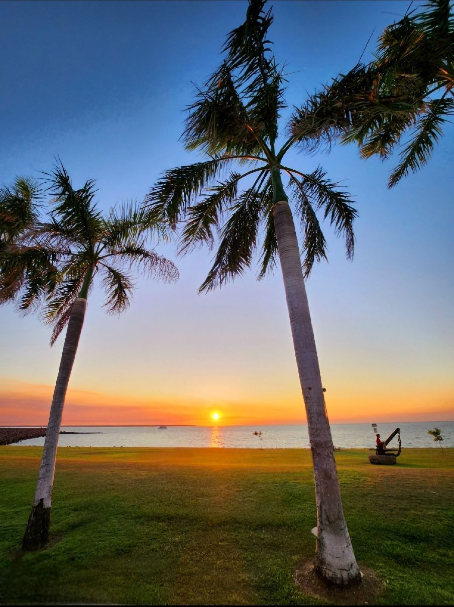 Two Palm Trees On a Beach During Sunset  — Adding Value CFO Pty Ltd in Larrakeyah, NT
