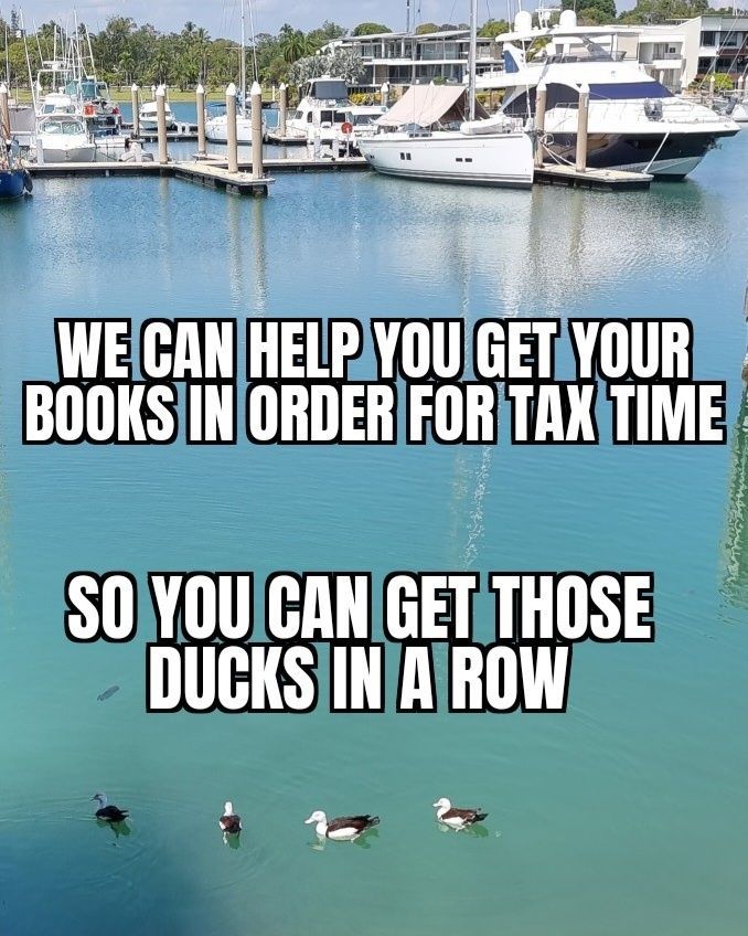 Ducks Swimming in a Row on a Lake — Adding Value CFO Pty Ltd in Larrakeyah, NT