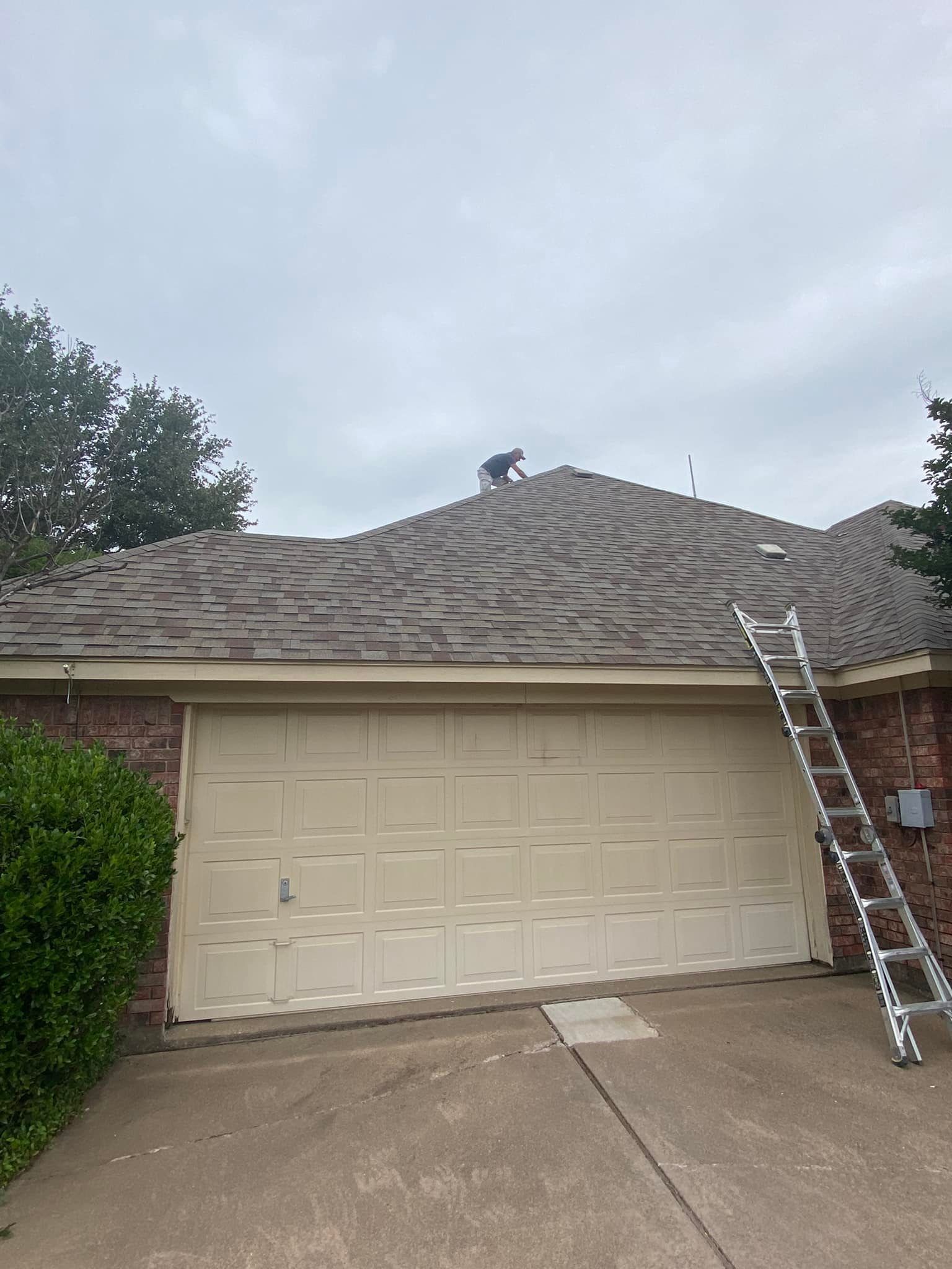 A person on a roof with a ladder leaning against the house. Overcast day.