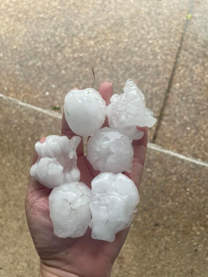 Hand holding several large, irregularly shaped hailstones on a wet, light brown surface.