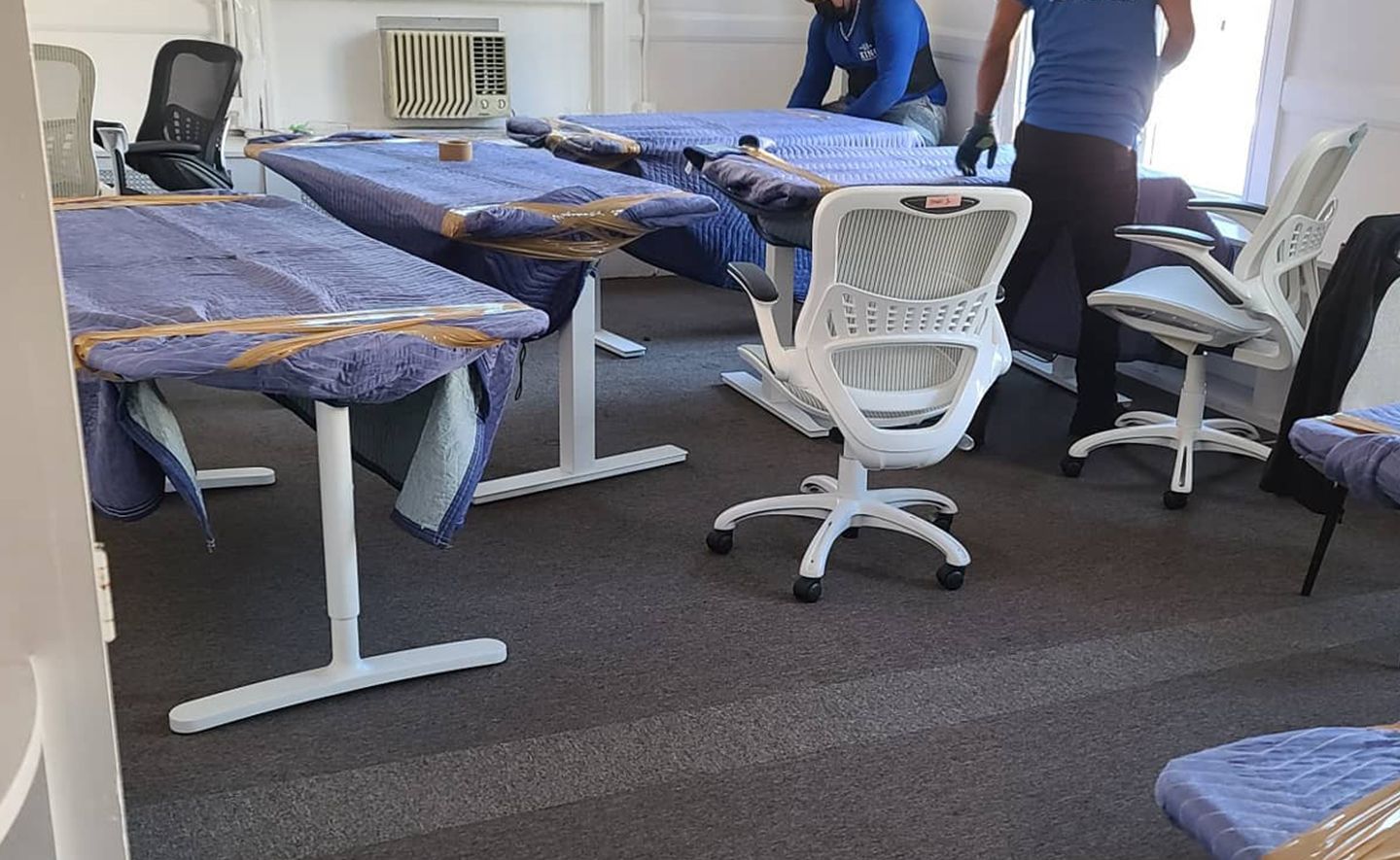 A group of people are moving office furniture in an office.