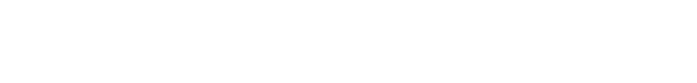 Blank white horizontal rectangle with a thin light gray border
