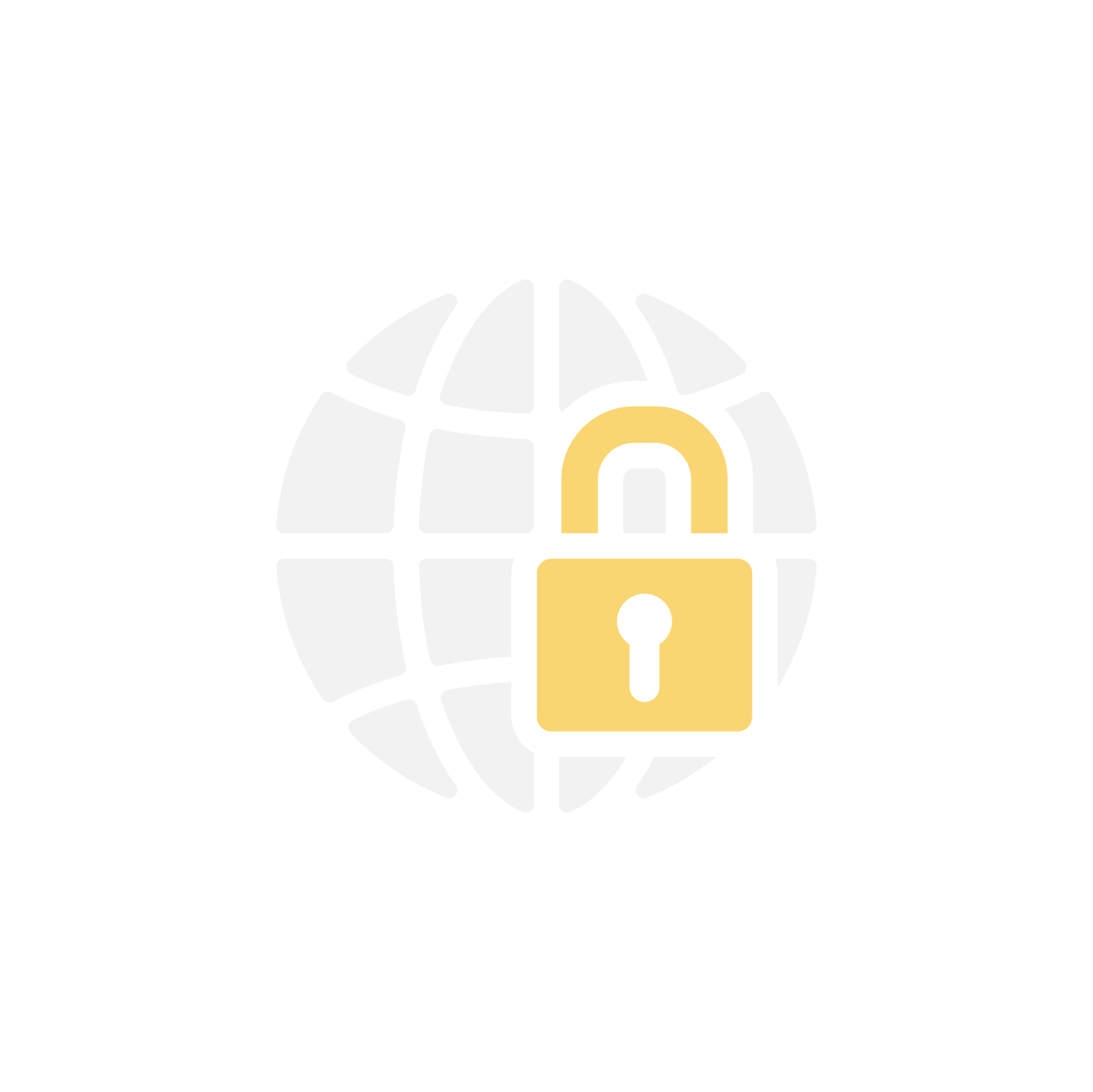 an icon of a globe with a padlock on it