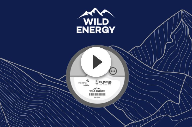 A blue background with mountains and the words wild energy