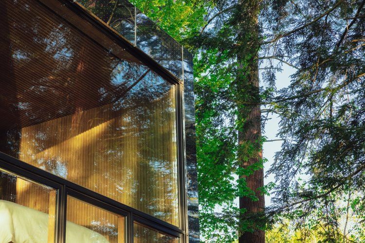 A house with a lot of windows, surrounded by trees.
