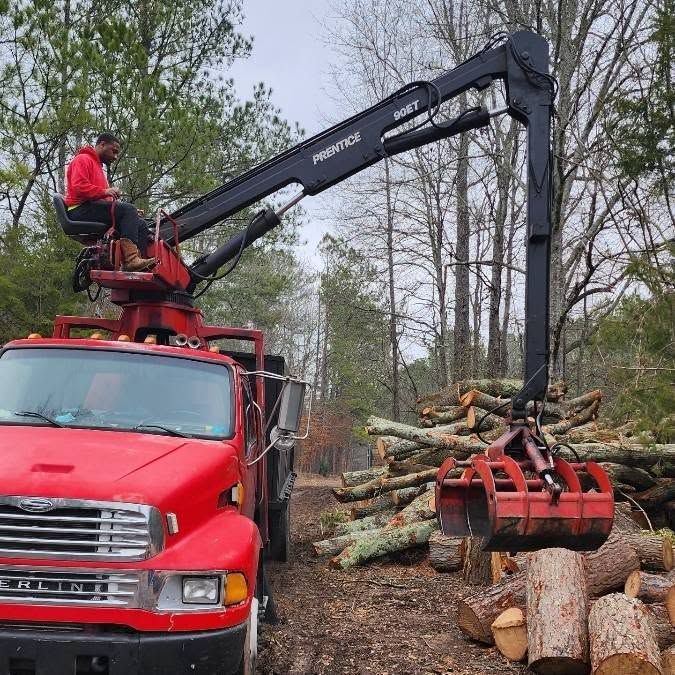 Red logging truck with crane lifting cut tree trunks in a wooded area