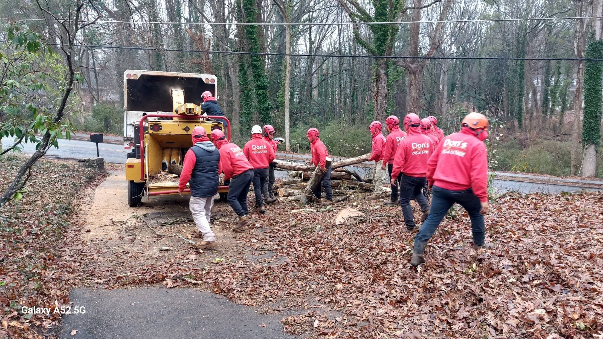 Workers in red jackets clearing fallen leaves near a yellow truck in a wooded area