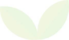 Abstract pale green leaf-like shapes on a white background