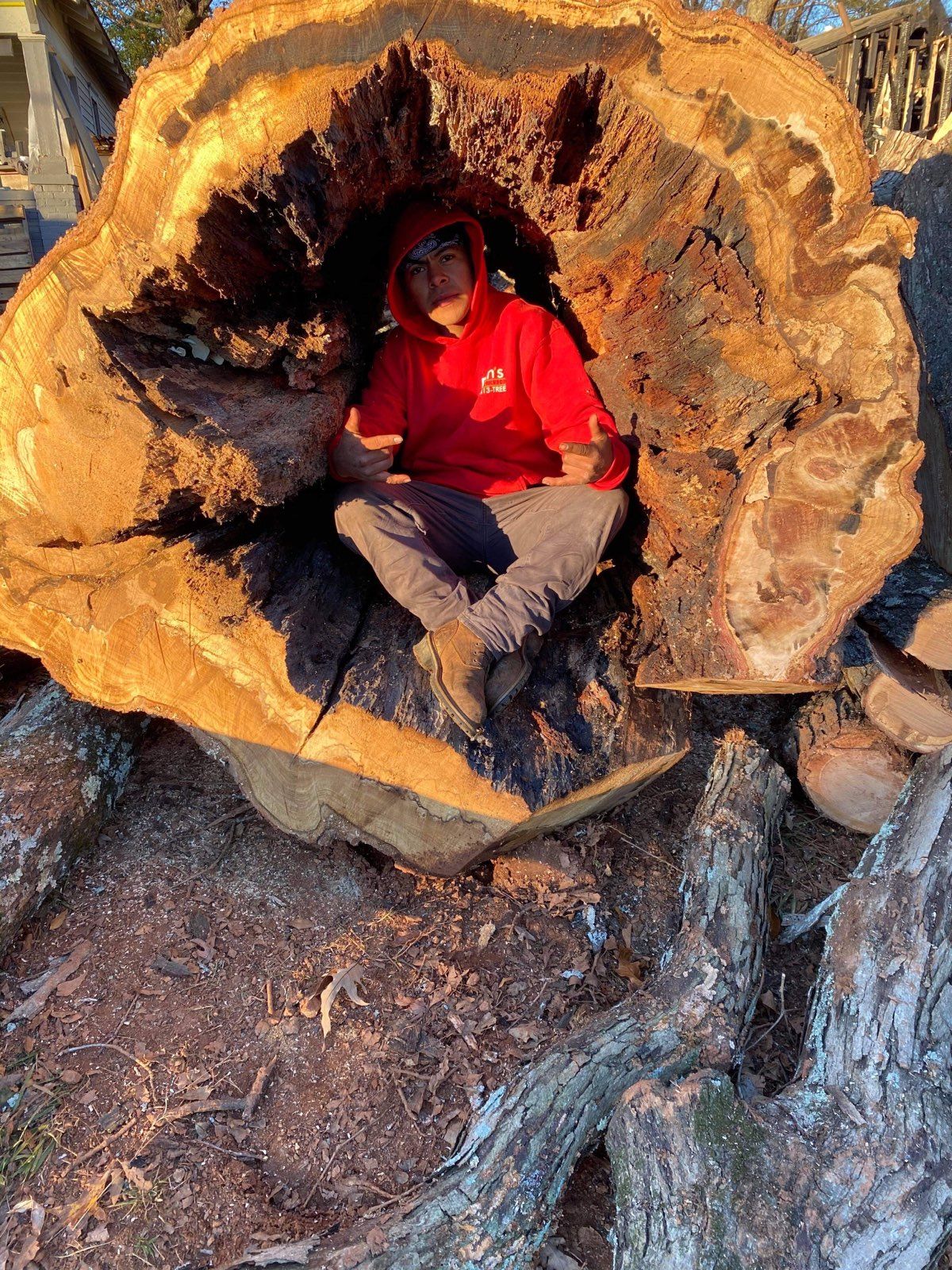 Person in a red jacket sitting inside a large hollow tree trunk outdoors.