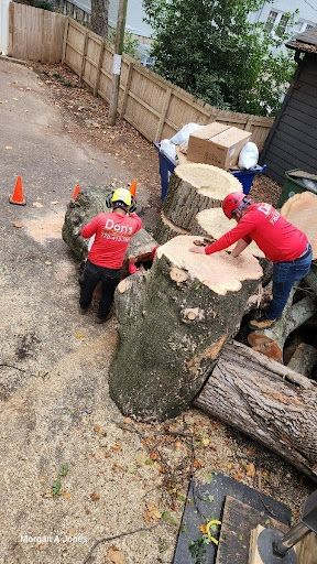 Workers in red shirts and hard hats guide a tree stump on a roadside worksite.