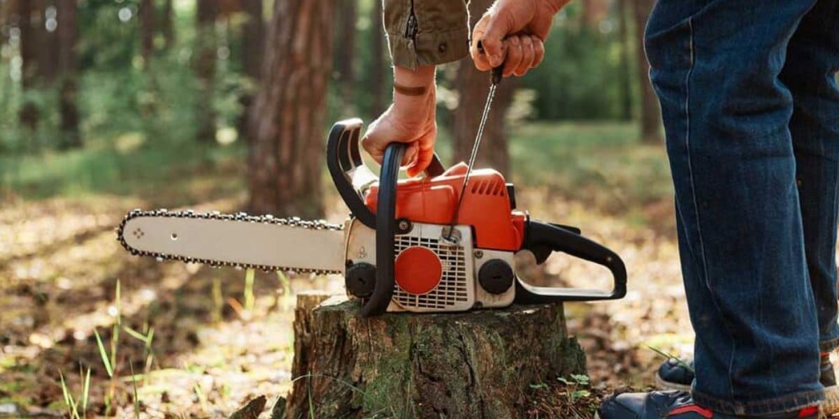 Person using a red chainsaw on a tree stump in a wooded area