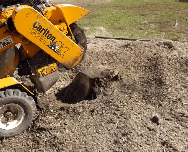 A wheel of a utility vehicle drives over a log, kicking up dust and leaves outdoors.