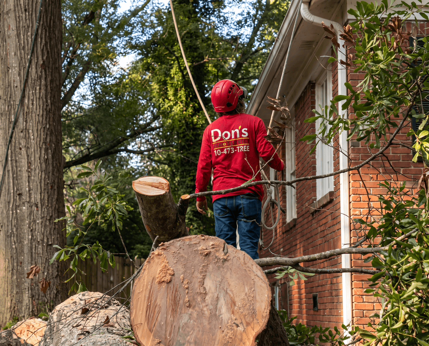 Worker in orange helmet using a pole saw beside a tree near a street and red van