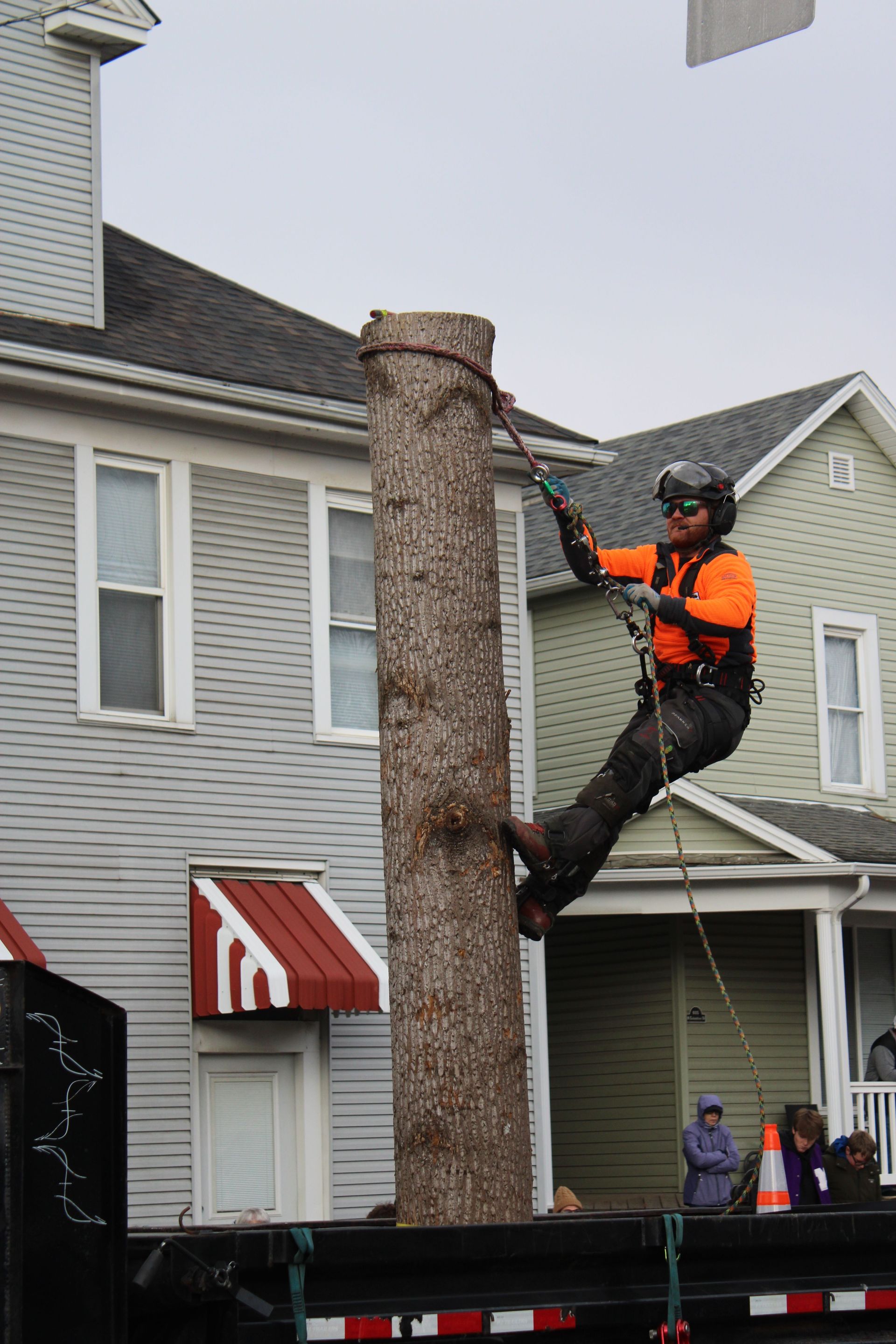 Worker in orange safety vest climbing a tall tree trunk beside a house on a truck-mounted lift