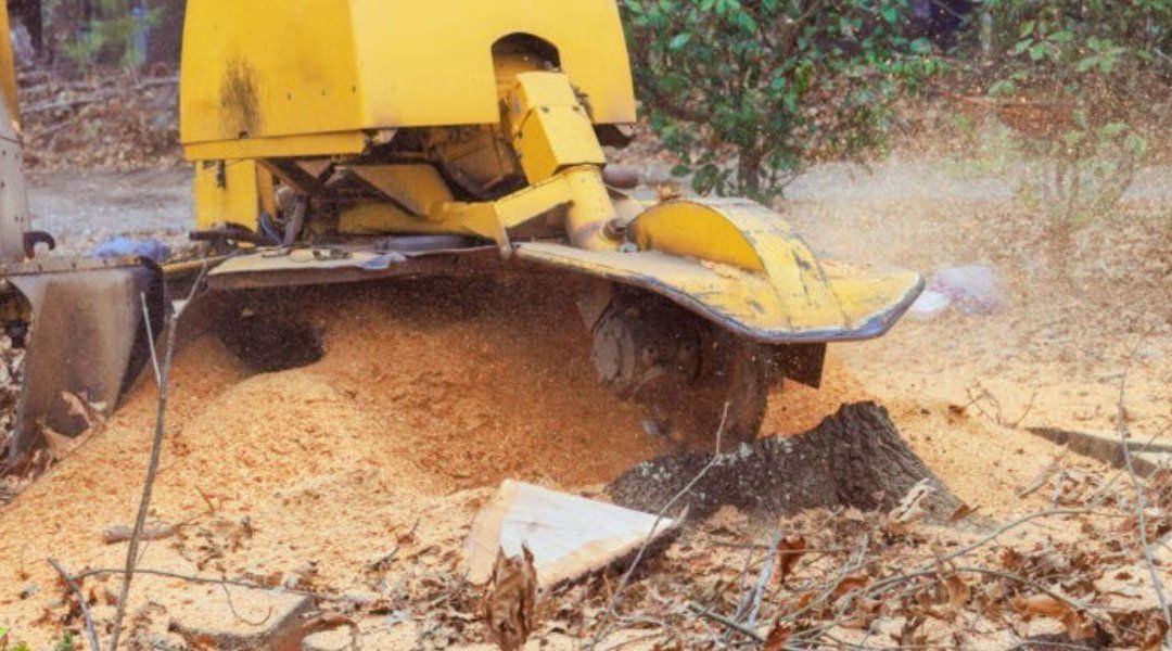 Yellow wood chipper ejecting shredded wood into a pile outdoors