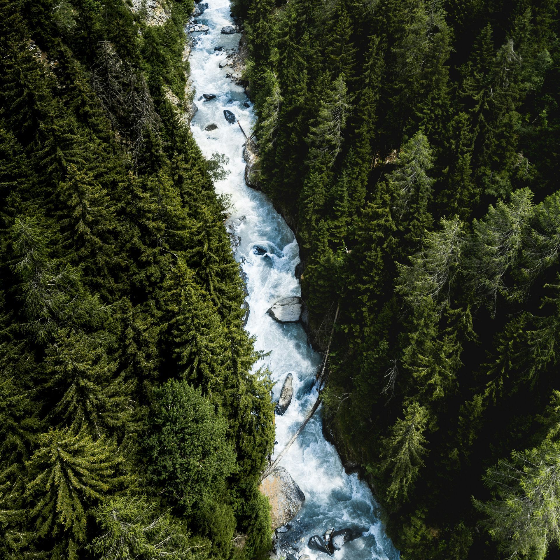 River flowing through forest representing sexual addiction therapy services in Brentwood, California
