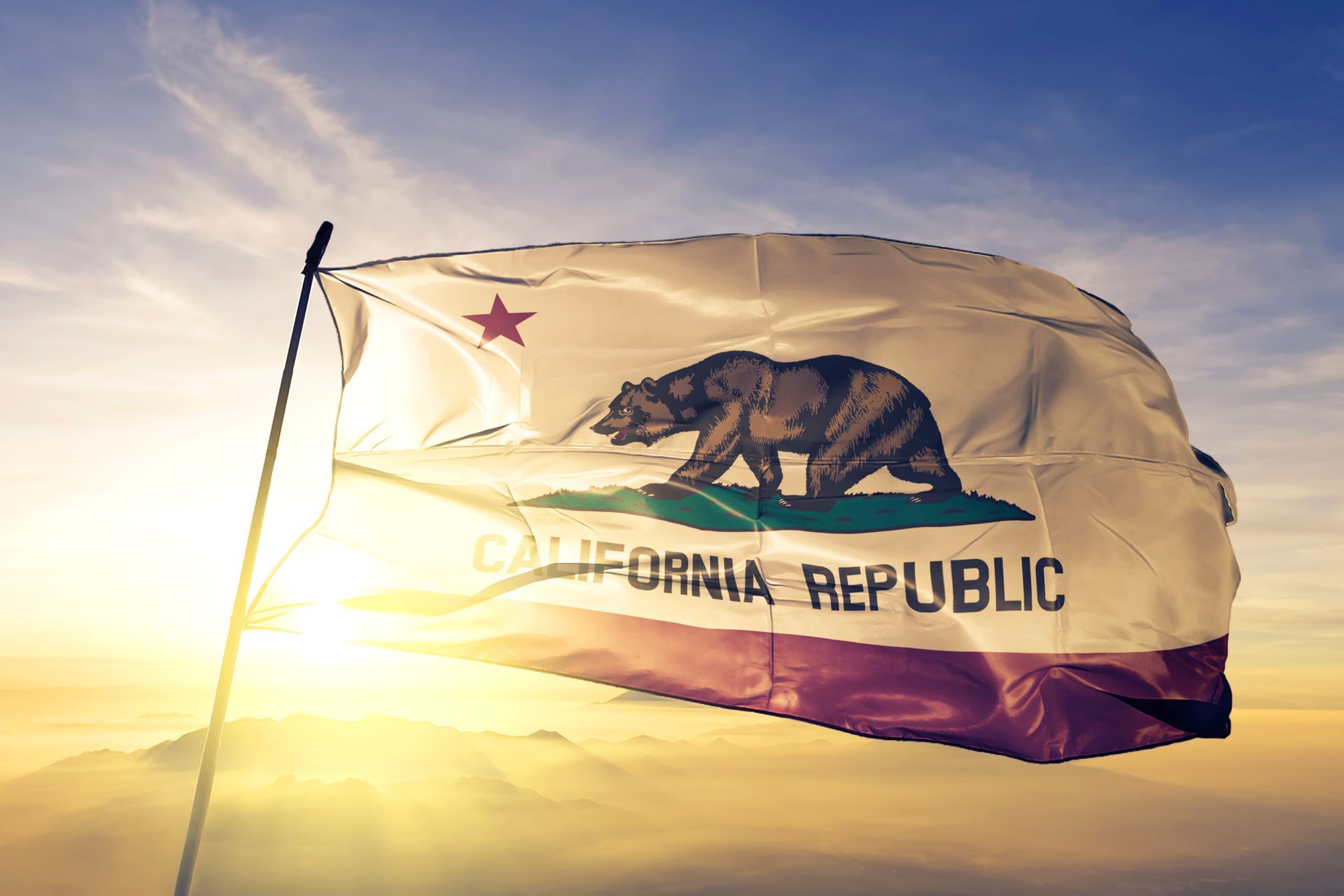 California state flag representing therapy services in Brentwood and East Contra Costa County, California