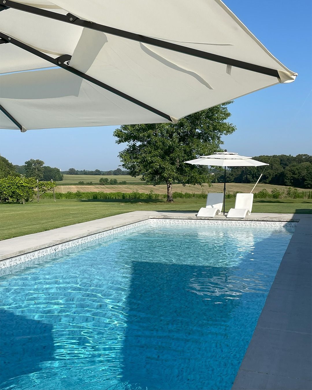 Swimming pool with blue water, white umbrellas, and lounge chairs on a sunny lawn with trees beyond.