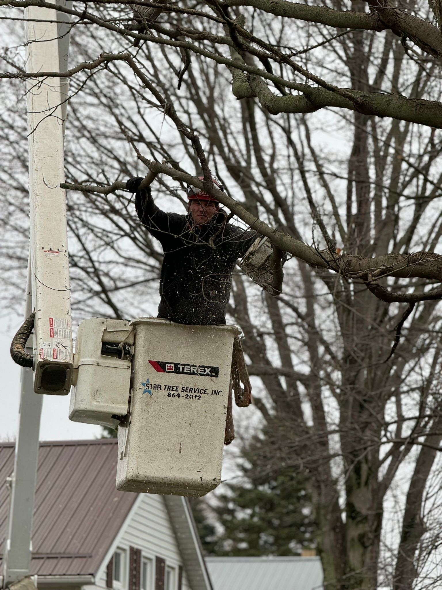 Expert Tree Care Services Erie, PA Star Tree Service