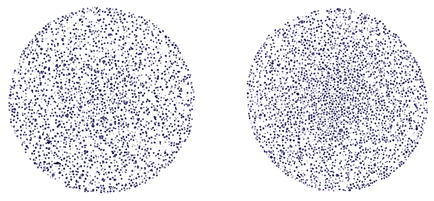 Two side-by-side cell culture cores on a white background