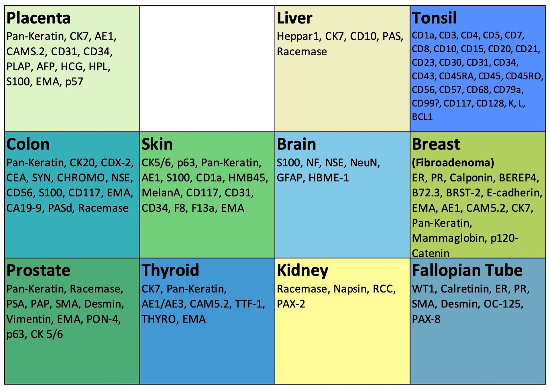Color-coded grid of labeled tissue types: placenta, liver, tonsil, colon, skin, brain, breast, prostate, thyroid, kidney, fallopian tube