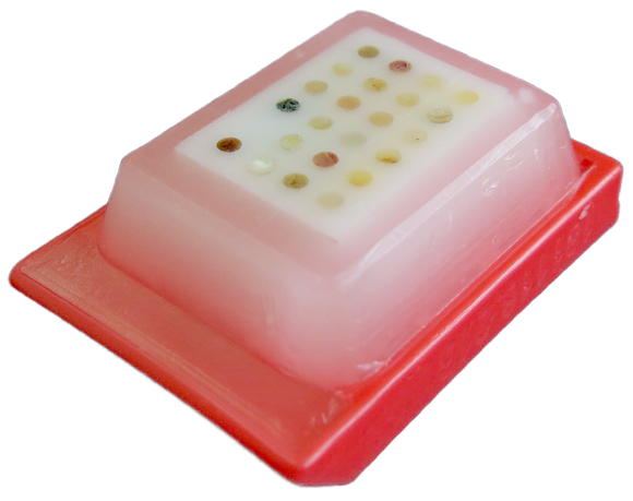 Image of a 23-core tissue microarray