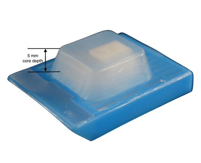Image of a 2-core cell culture microarray