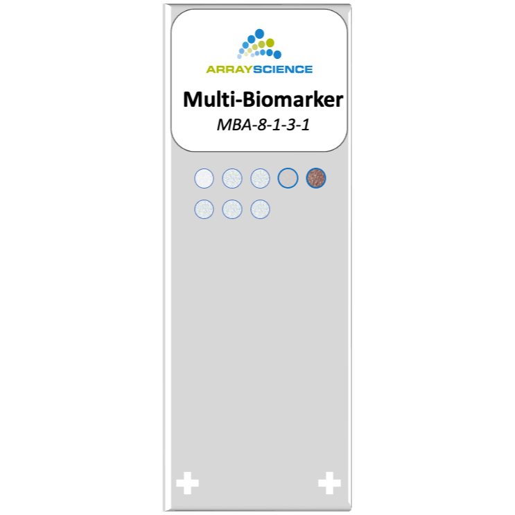 A stylized image of a microscope slide with eight cell culture cores, including colon, prostate, breast, as well as B- and T-cell lymphoma