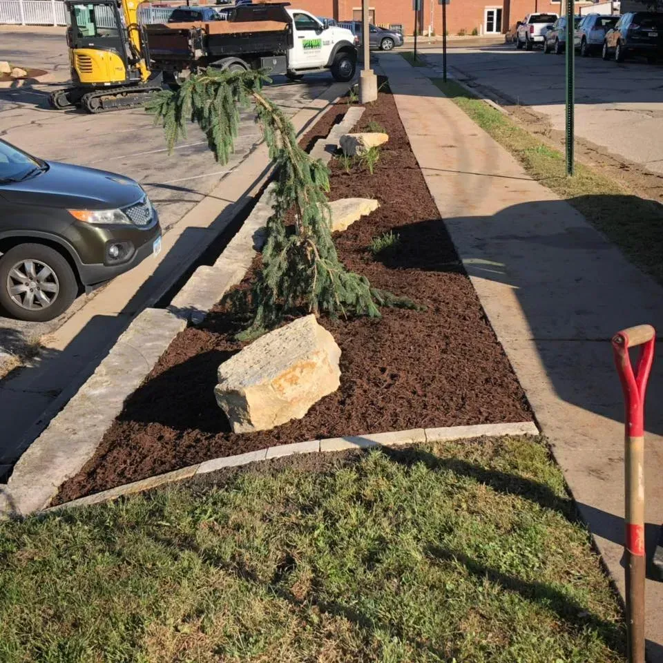 A landscaped garden bed with large boulders, a young evergreen tree, and mulch, next to a sidewalk and parked vehicles.
