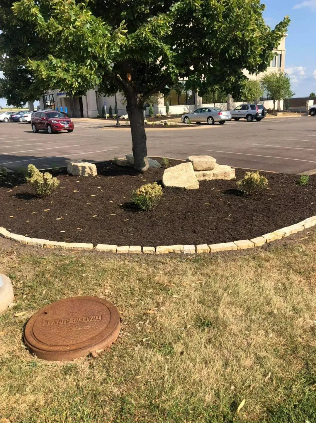 A tree surrounded by mulch and decorative rocks in a circular garden bed, with a parking lot and a circular utility cover.