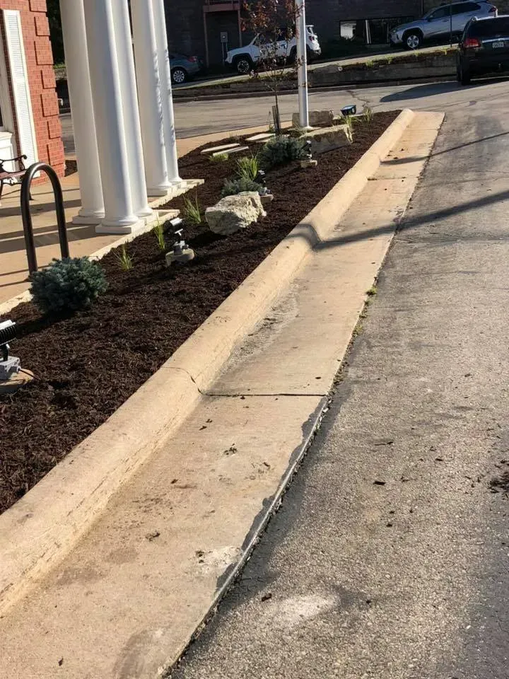 A landscaped garden bed with mulch, small shrubs, and decorative rocks beside a concrete curb and an asphalt parking lot.