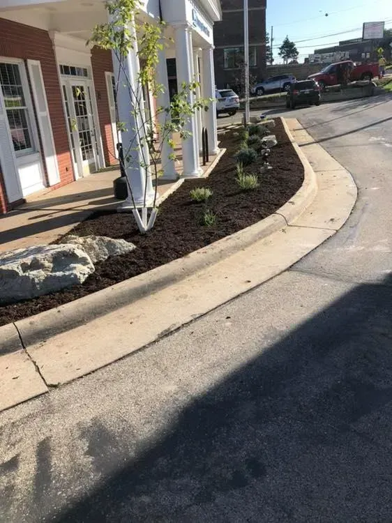 A mulched garden bed lines a sidewalk in front of a brick building with white columns, featuring a small tree and rocks.